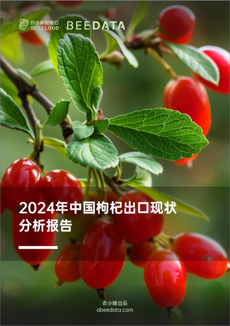 《农小蜂-2024年中国枸杞出口现状分析报告-20页》 - 第1页预览图