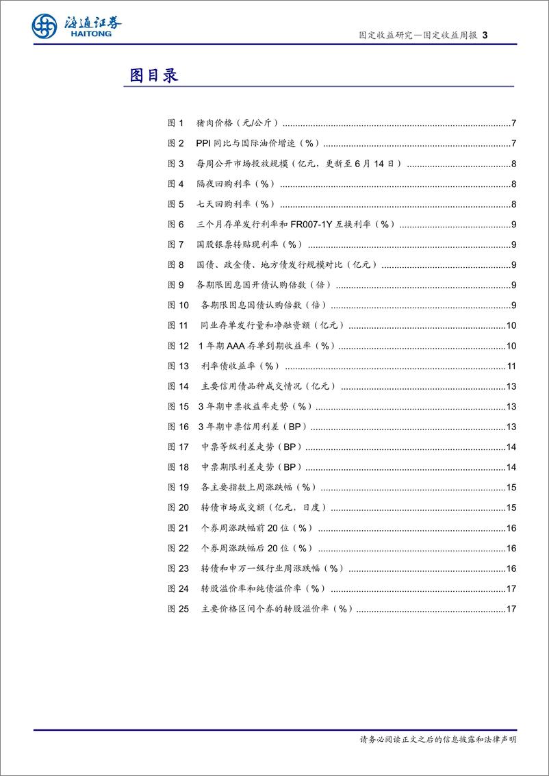 《债市：降息博弈需谨慎-240616-海通证券-23页》 - 第3页预览图