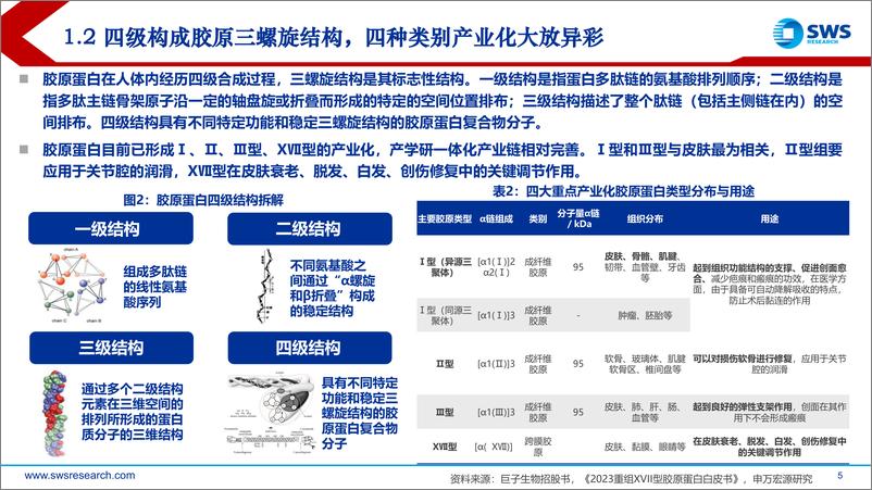 《化妆品医美行业胶原蛋白深度：美丽健康下一代成分王者，胶原蛋白引领潮流-240520-申万宏源-37页》 - 第5页预览图