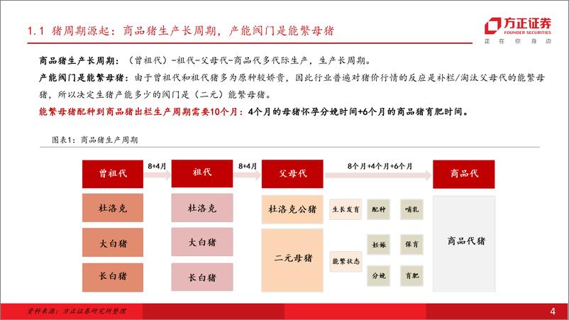 《农林牧渔行业深度报告-大牛周期(一)：肉牛价格景气大周期或从2025年开启-250224-方正证券-31页》 - 第4页预览图