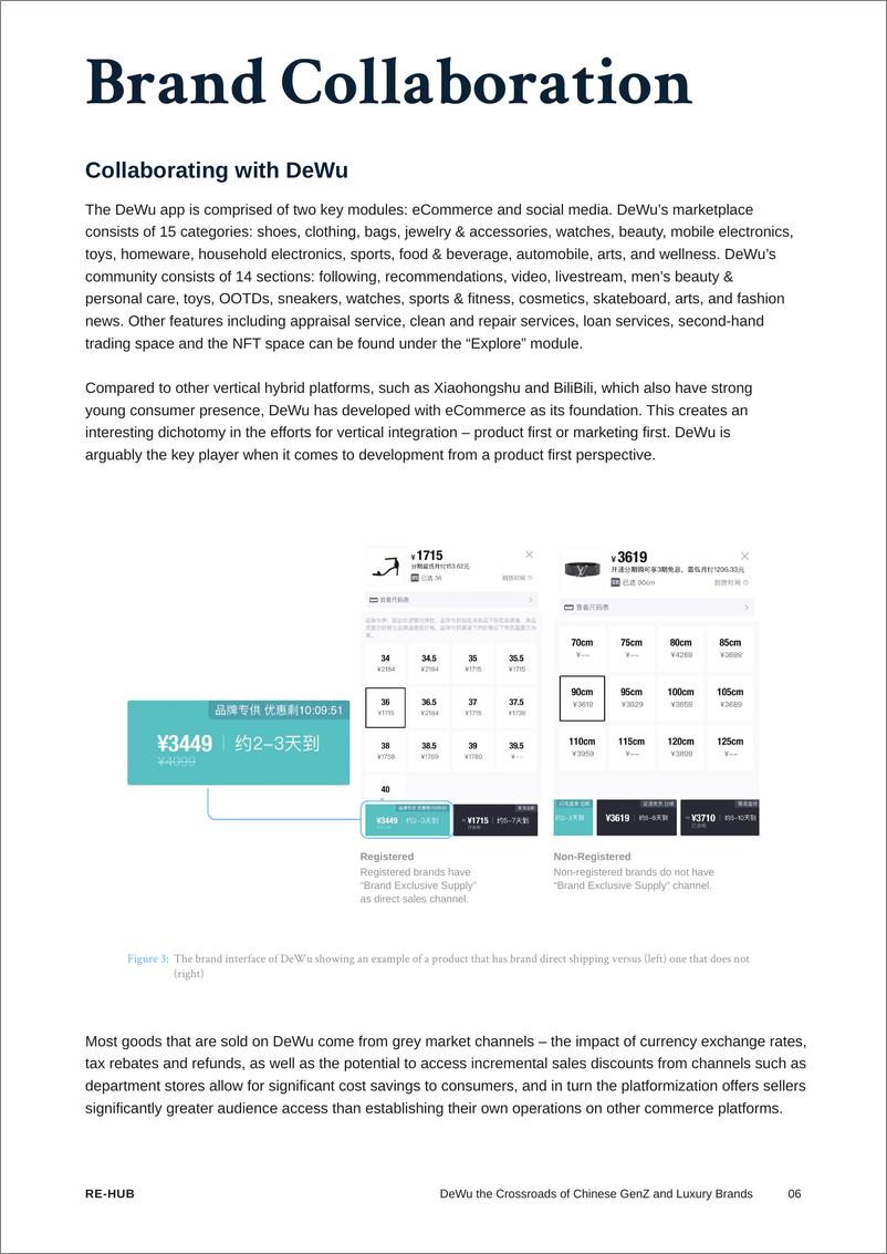 《2023得物平台研究报告：联结奢侈品牌与中国新生代消费者》 - 第6页预览图