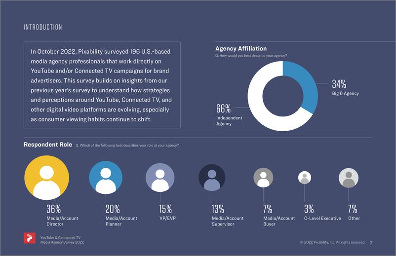 《2022年YouTube和联网电视代理商调查（英）-23页》 - 第4页预览图