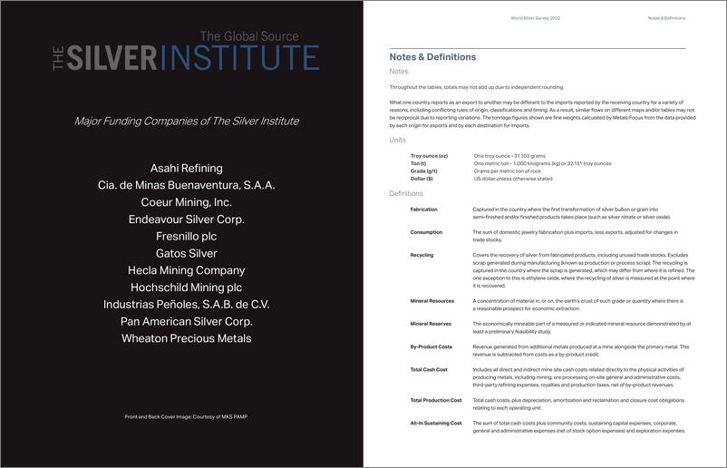 《2022年世界白银调查报告-86页》 - 第3页预览图