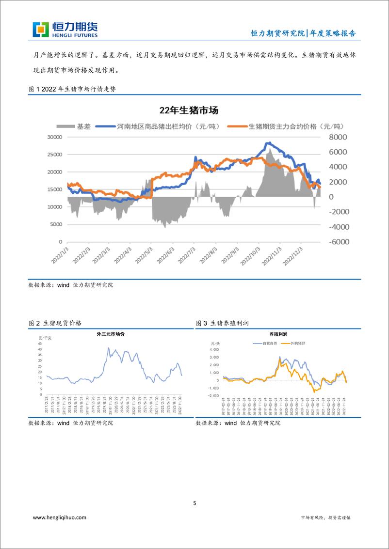 《生猪年度策略报告：先迷后得，柔顺伸展-20221231-恒力期货-21页》 - 第6页预览图