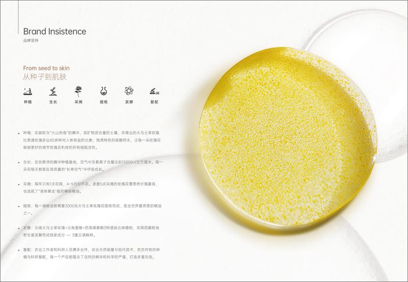 《玫卿序品牌手册》 - 第5页预览图