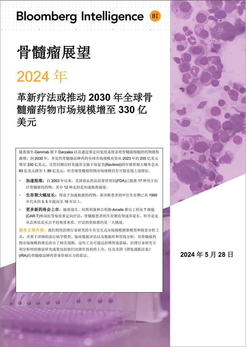 《骨髓瘤展望：2024年革新疗法或推动2030年全球骨髓瘤药物市场规模增至330亿美元-100页》 - 第1页预览图