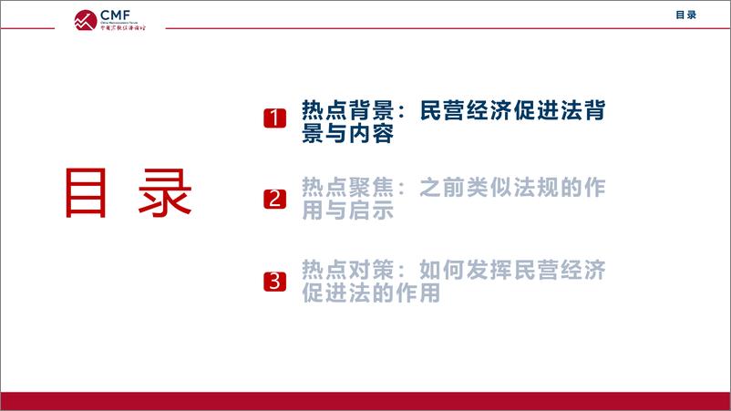 《中国宏观经济专题报告_第93期__民营经济促进法推动民营经济发展作用分析》 - 第4页预览图