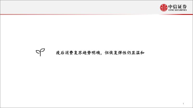 《消费产业行业2023年下半年投资策略：复苏行进中，估值波动中静待机会-20230531-中信证券-22页》 - 第3页预览图