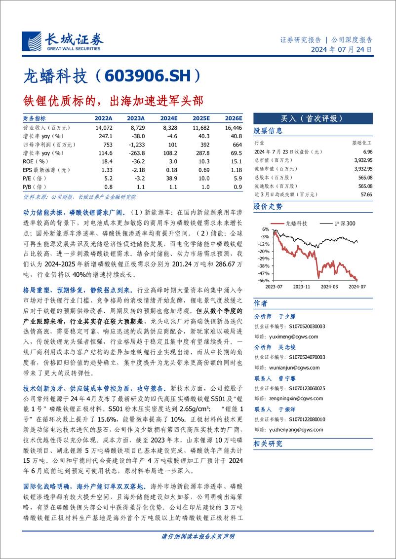 《龙蟠科技(603906)铁锂优质标的，出海加速进军头部-240724-长城证券-28页》 - 第1页预览图