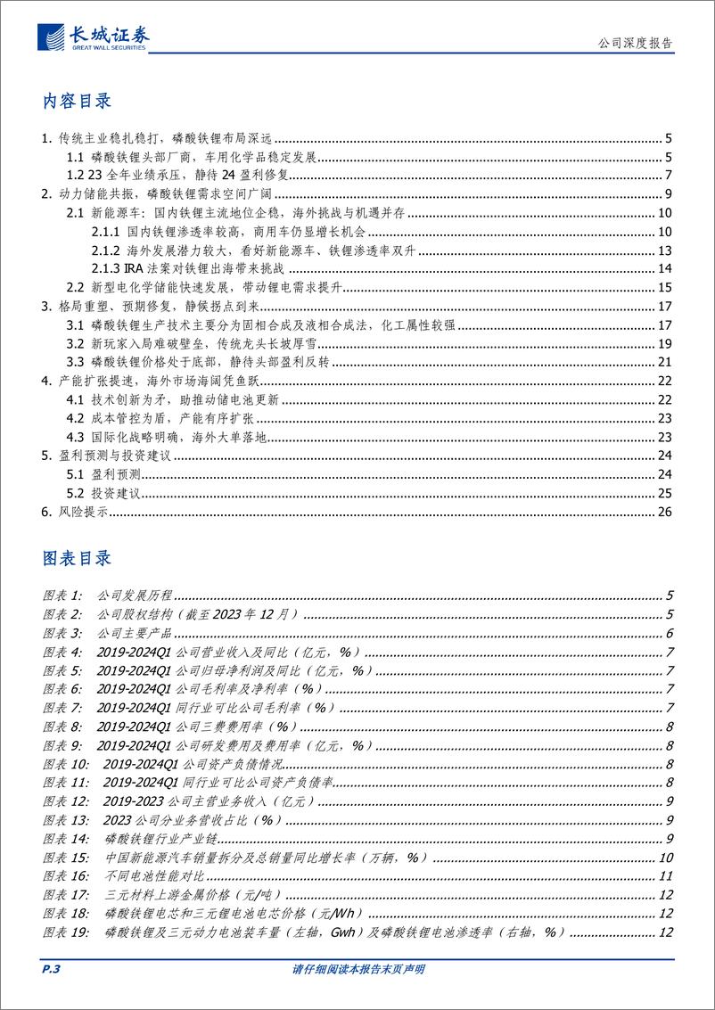 《龙蟠科技(603906)铁锂优质标的，出海加速进军头部-240724-长城证券-28页》 - 第3页预览图