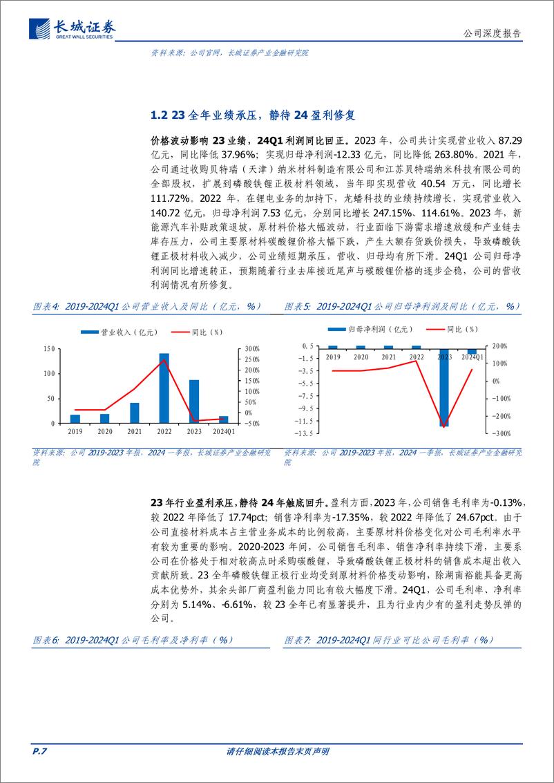 《龙蟠科技(603906)铁锂优质标的，出海加速进军头部-240724-长城证券-28页》 - 第7页预览图