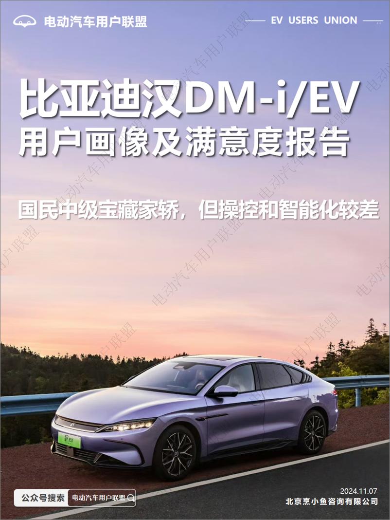 《比亚迪汉EV DM-i用户画像及满意度报告—电动汽车用户联盟出品》 - 第1页预览图