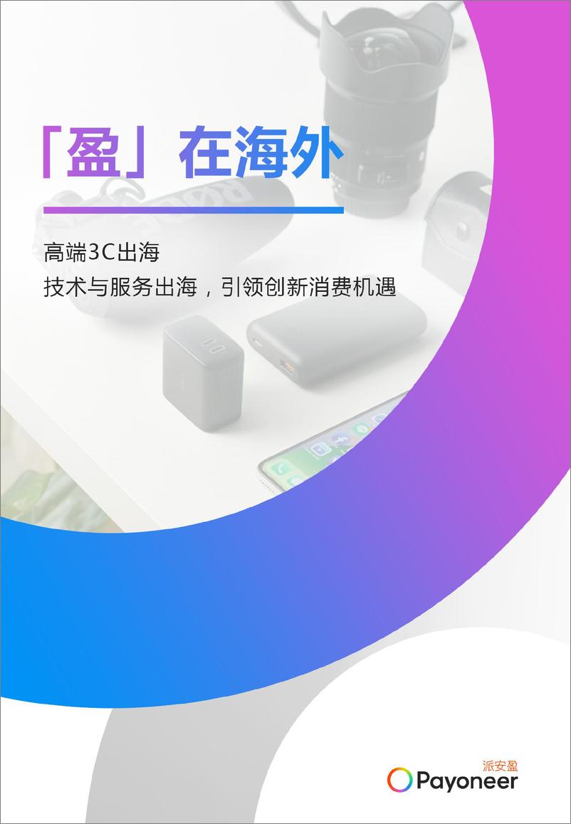 《Payoneer_2024年_盈_在海外-线上消费市场洞察报告——消费电子篇》 - 第3页预览图