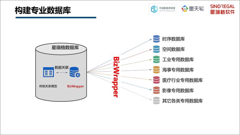 《星瑞格_杜国旺__星瑞格数据库_多模驱动_全方位数据支持》 - 第8页预览图