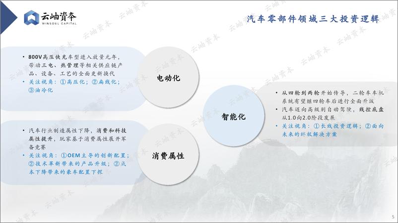 《2024中国汽车产业链热门细分赛道深度分析与展望-云岫资本-2024.7-31页》 - 第5页预览图