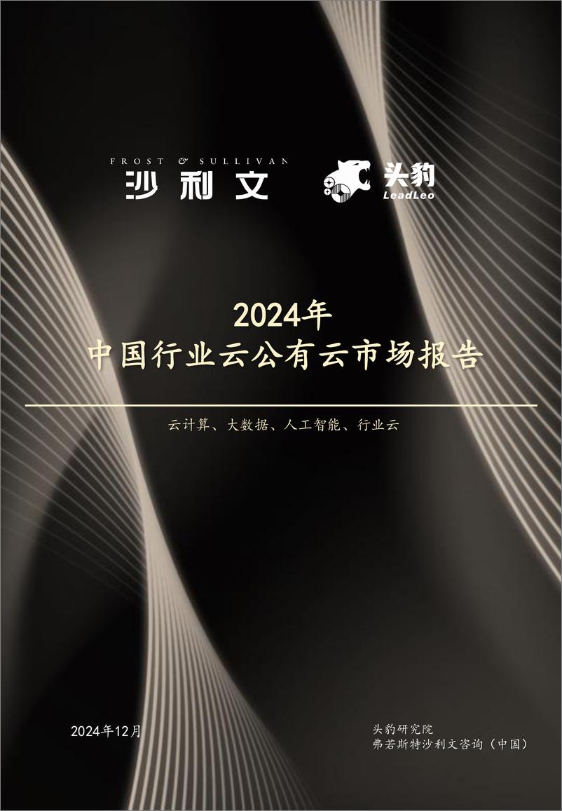 《2024年中国行业云公有云市场报告-10页》 - 第1页预览图