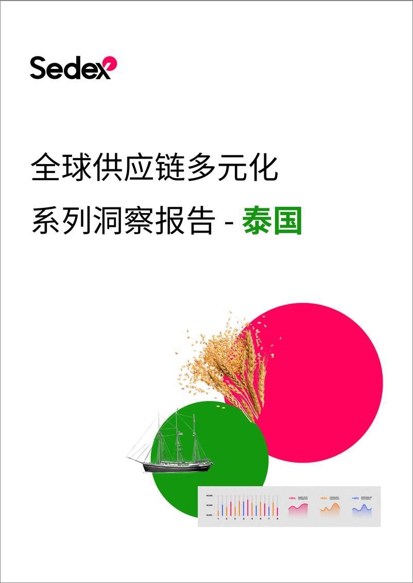 《2024全球供应链多元化系列洞察报告-泰国-Sedex-63页》 - 第1页预览图