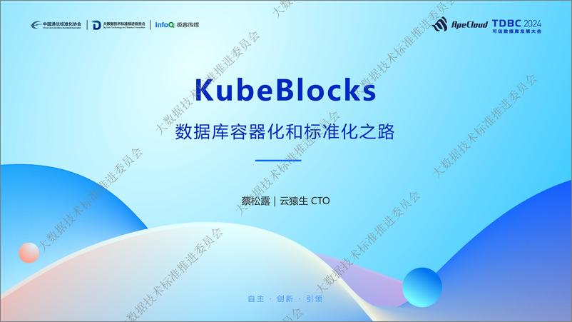 《云猿生_蔡松露__kubeblocks-数据库容器化和标准化之路》 - 第1页预览图