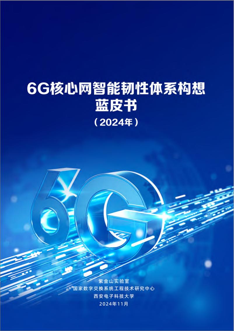 《6G核心网智能韧性体系构想蓝皮书（2024年）-46页》 - 第1页预览图