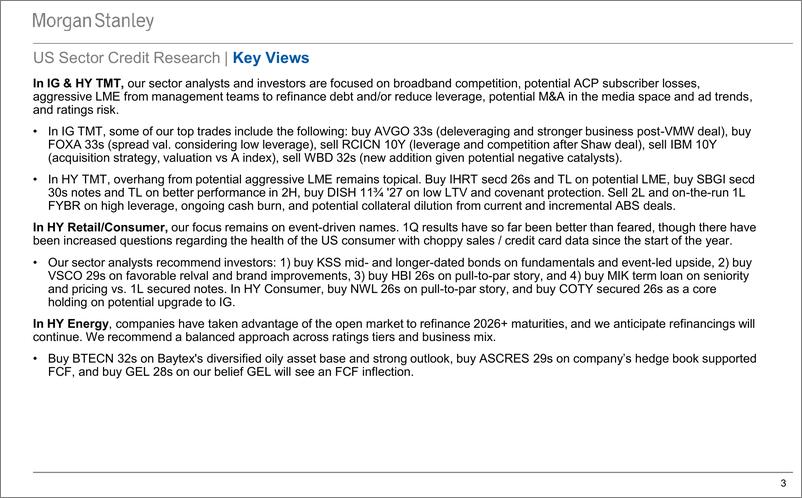 《Morgan Stanley Fixed-US Credit Mid-Year Outlook Presentation Macro and Micro-108470347》 - 第3页预览图