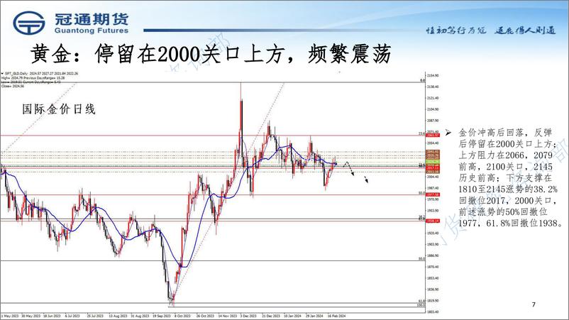 《近期策略展望-20240223-冠通期货-17页》 - 第7页预览图