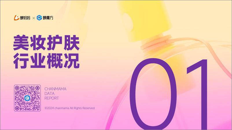 《蝉妈妈_2024美妆护肤行业分析报告》 - 第4页预览图