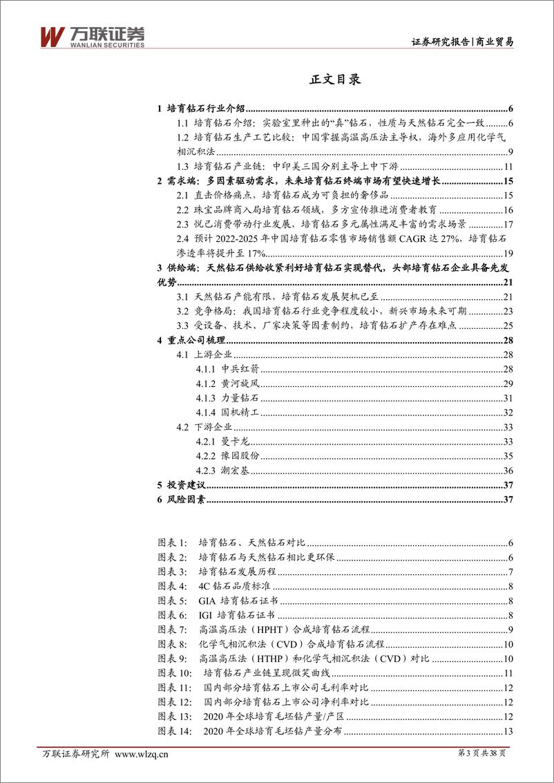 《培育钻石行业深度报告：培育钻石闪耀新赛道，渗透率提升空间广阔-20220823-万联证券-38页》 - 第4页预览图