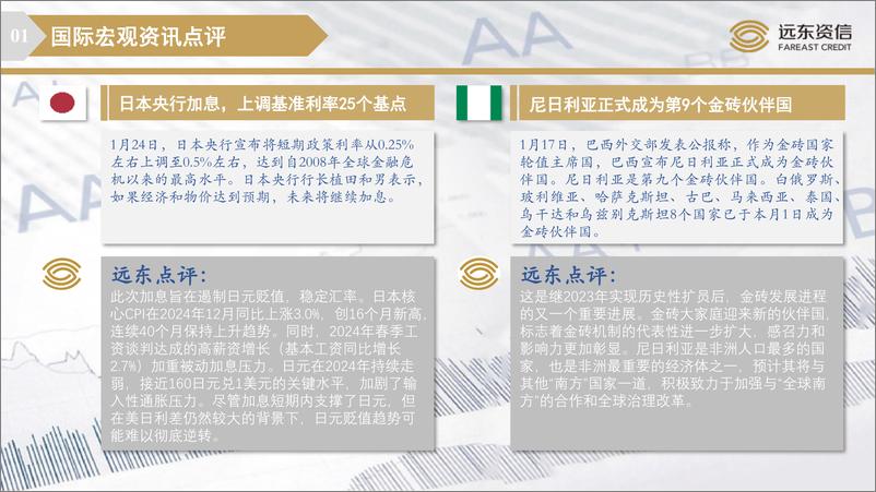 《国际观察月报 2025年2月（第1期）-13页》 - 第6页预览图