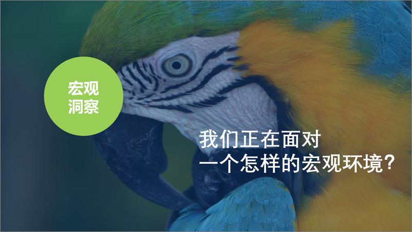 于不确定中，探寻确定之路——《2024中国饭店业务统计》数据洞察及趋势展望-57页 - 第3页预览图