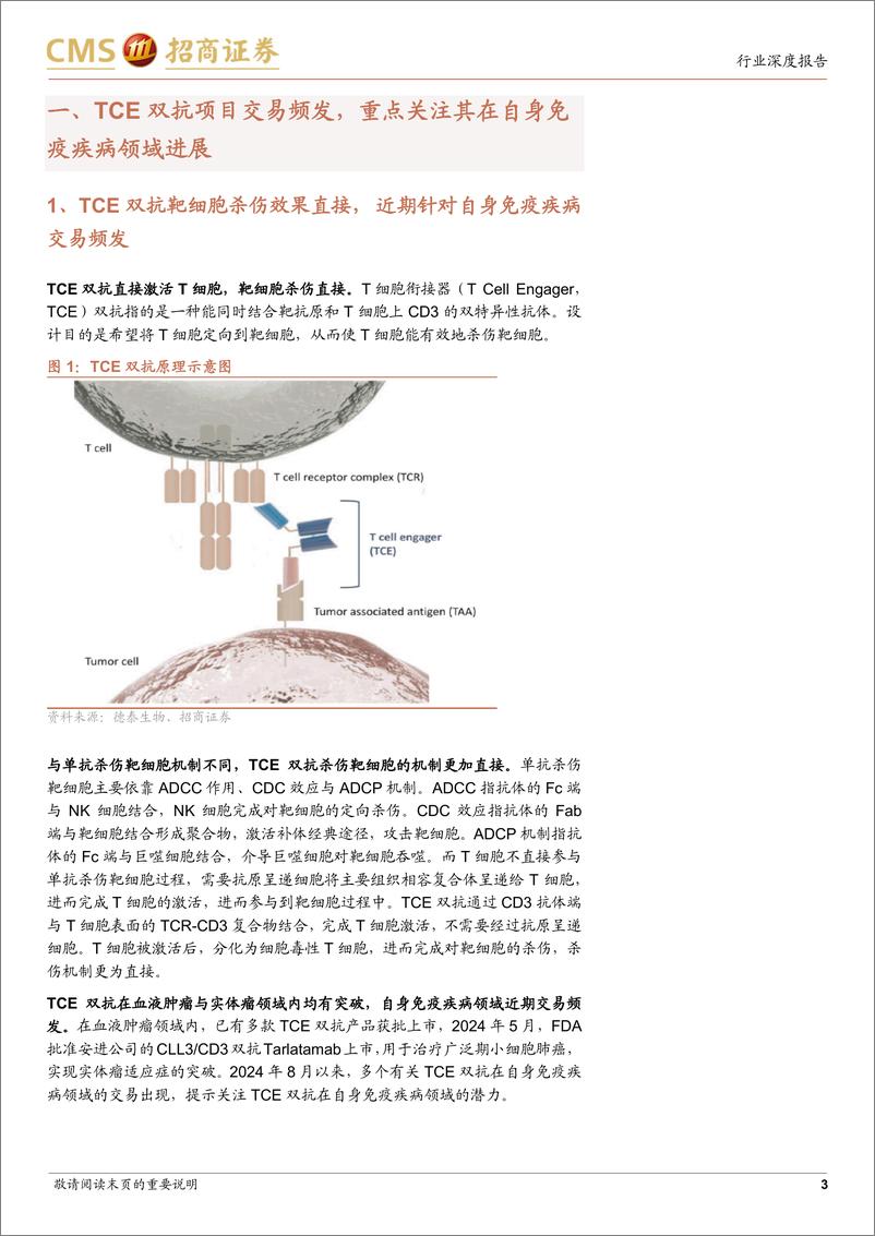 《生物医药行业创新药系列报告(九)：TCE双抗治疗SLE专题，机理、早期临床证据与相关企业布局-241118-招商证券-10页》 - 第3页预览图