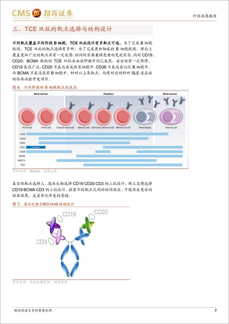 《生物医药行业创新药系列报告(九)：TCE双抗治疗SLE专题，机理、早期临床证据与相关企业布局-241118-招商证券-10页》 - 第7页预览图