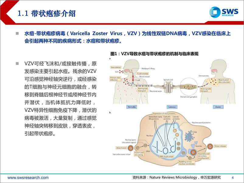 《医药行业重磅疫苗系列深度报告（一）：带状疱疹疫苗，关注老年群体需求-20221209-申万宏源-34页》 - 第5页预览图