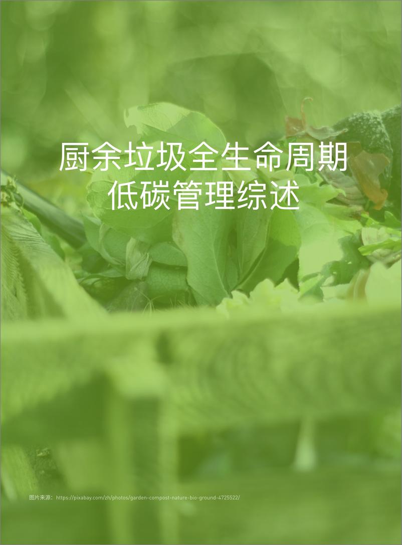 《厨余垃圾全生命周期低碳管理综述-绿色和平-44页》 - 第4页预览图