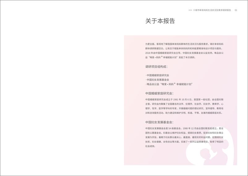 《唯品会单亲妈妈调研报告-2019.5-35页》 - 第3页预览图