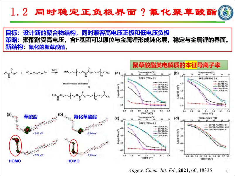 《2024聚合物基固态电池关键材料开发报告-24页》 - 第6页预览图