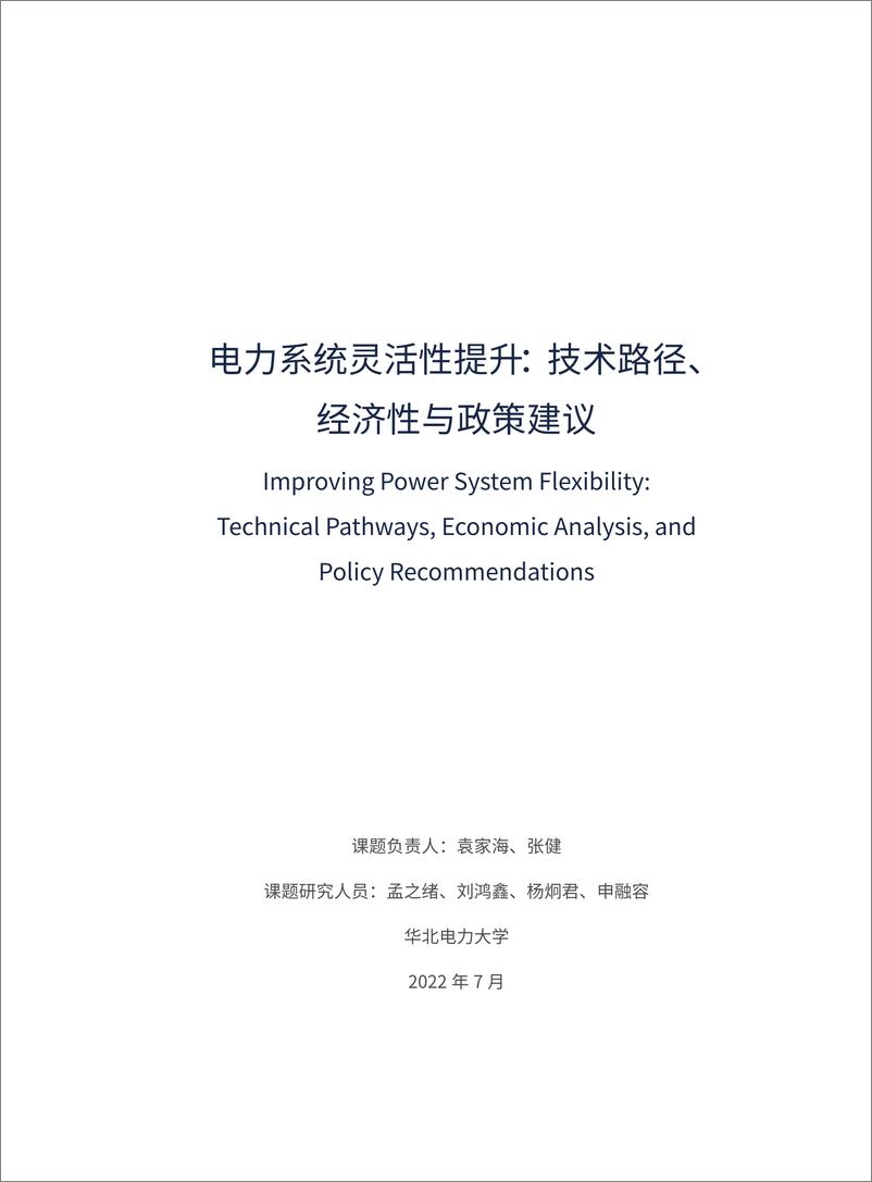 《电力系统灵活性提升：技术路径、经济性-116页》 - 第4页预览图