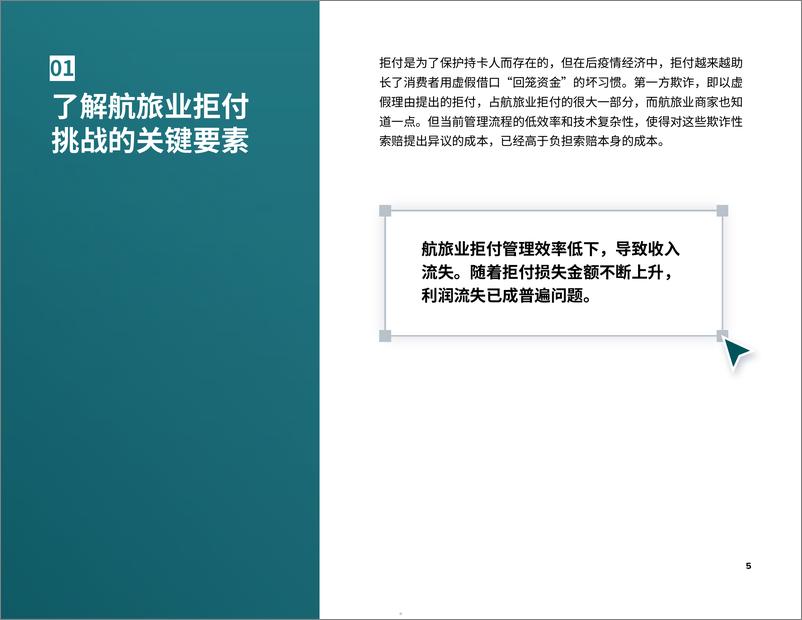 《航旅业拒付挑战及拒付管理要点_2024全球洞察报告》 - 第5页预览图