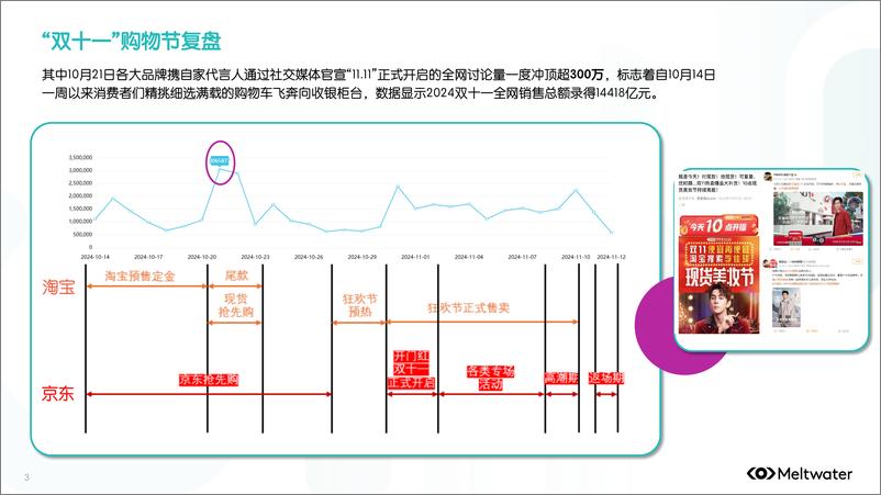 《2024年_双十一_与_黑五_的营销玩法与趋势报告》 - 第3页预览图