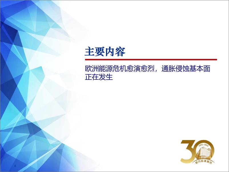 《全球资产配置热点聚焦之十五：欧洲激进加息，有哪些“危”与“机”？-20220801-申万宏源-50页》 - 第5页预览图