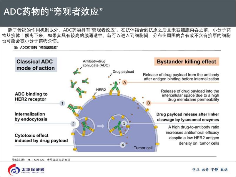 《医药行业【深度探讨系列】~抗体偶联药物：研发热度持续提升，重磅药物呼之欲出-20191215-太平洋证券-35页》 - 第7页预览图