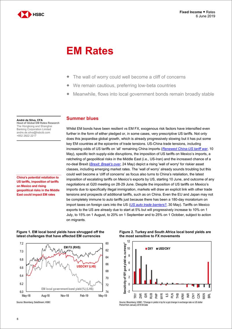 《汇丰银行-新兴市场-宏观策略-新兴市场利率：担忧之墙可能变成担忧的悬崖-2019.6.6-43页》 - 第7页预览图