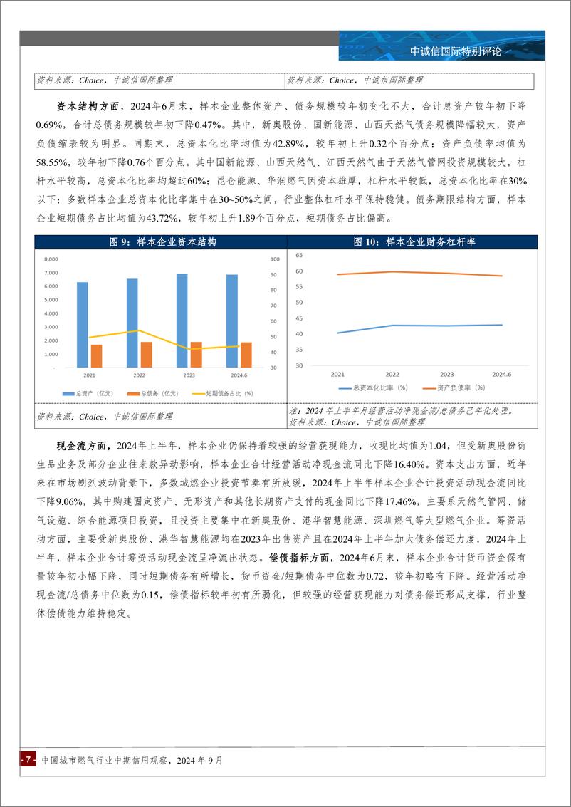 《中国城市燃气行业2024中期信用观察-10页》 - 第6页预览图