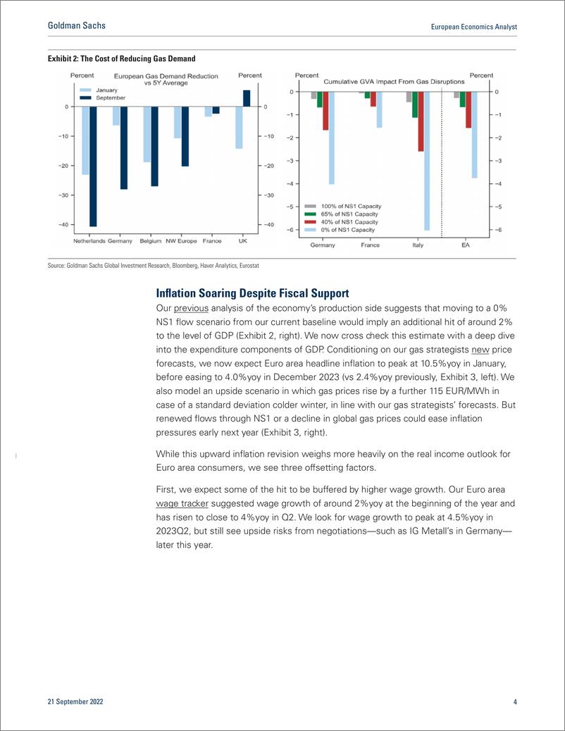 《European Economics Analys European Growth—Gone with the Gas (SchnittkeQuadri)(1)》 - 第5页预览图