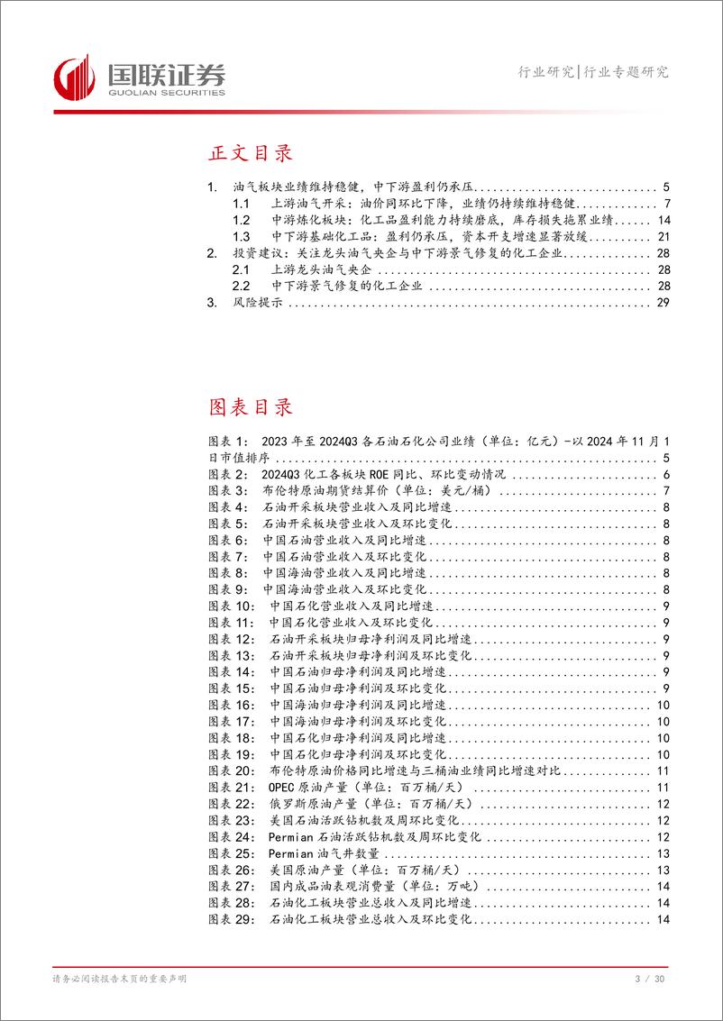 《石油石化行业专题研究：大化工2024年Q3业绩总结-241103-国联证券-31页》 - 第4页预览图