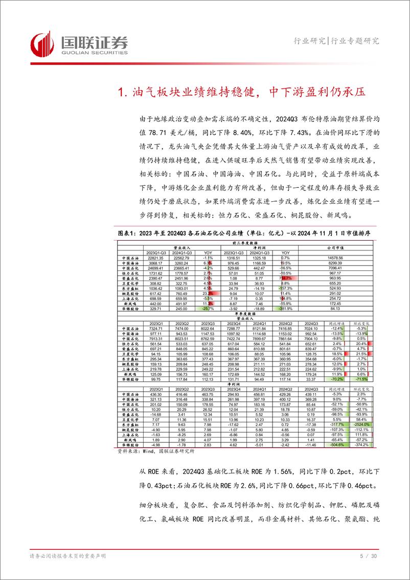 《石油石化行业专题研究：大化工2024年Q3业绩总结-241103-国联证券-31页》 - 第6页预览图