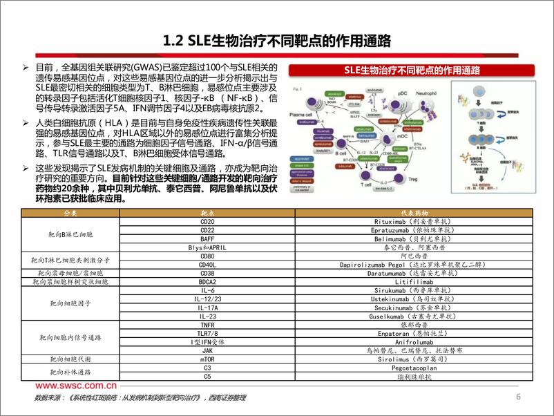 《西南证券-医药生物：系统性红斑狼疮蓝海市场，生物制剂脱颖而出》 - 第7页预览图