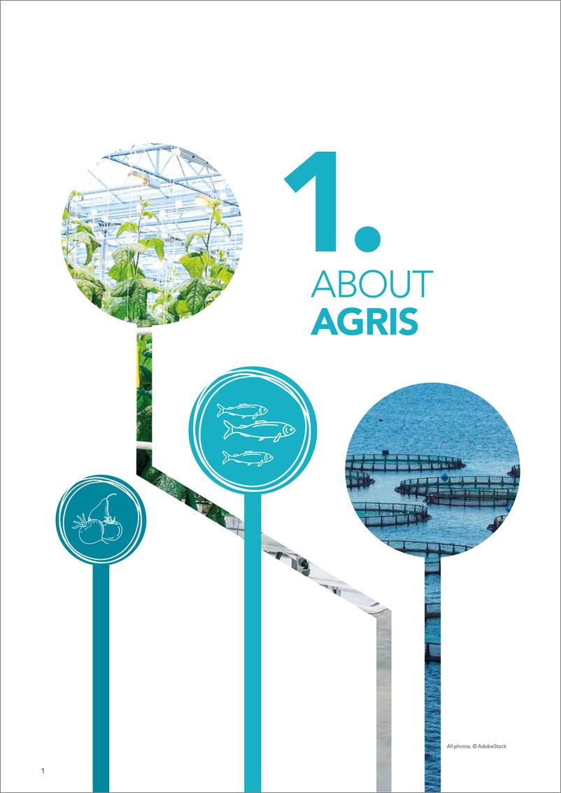 《AGRIS国际农业科学技术信息系统 — 数据提供方指南》英文版-19页 - 第6页预览图