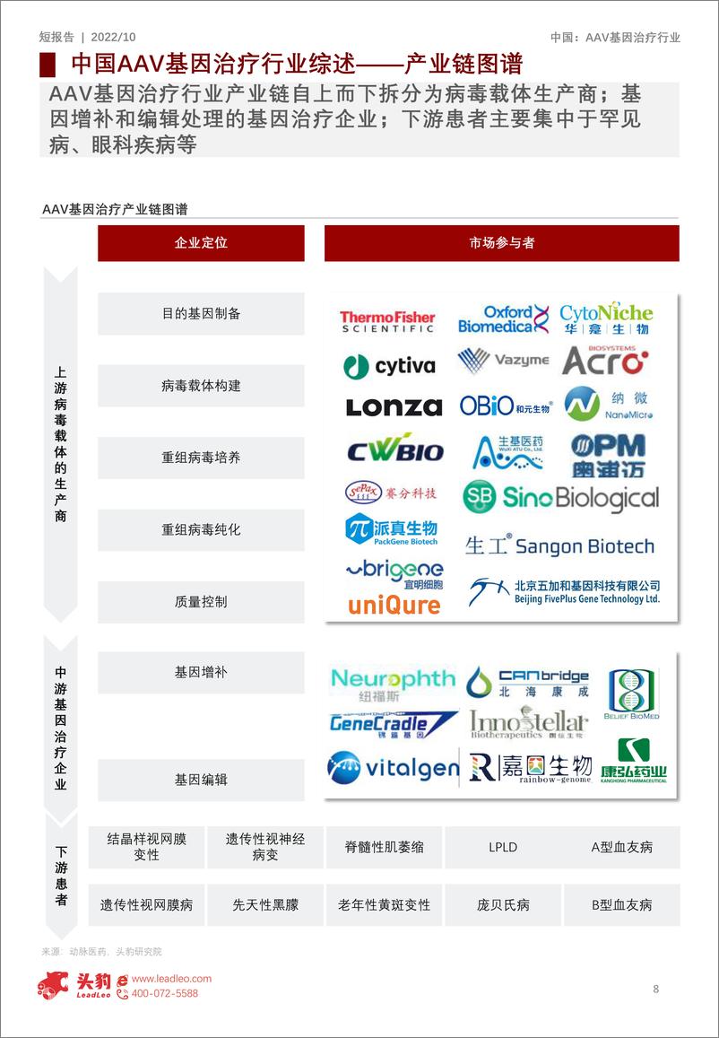 《2022年中国AAV（腺相关病毒）基因治疗挑战与机遇：纽福斯、信念医药、北海康城——基因治疗时代大放异彩-24页》 - 第8页预览图