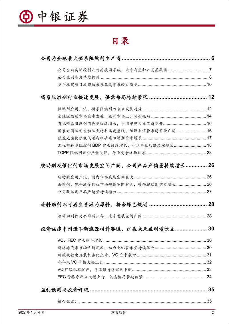 《中银国际-万盛股份-603010-磷系阻燃剂龙头，拓展新能源材料领域》 - 第2页预览图