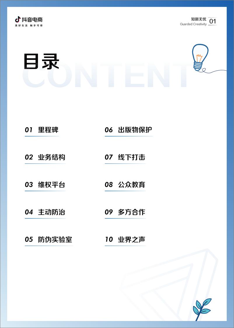 《2021抖音电商知识产权保护报告-28页》 - 第3页预览图